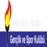 Nesibe Aydınspor