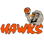 Bay Hawks