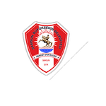 Samsun Büyükşehir Belediyesi Anakent Spor Kulübü