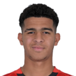 Mohamed Ahmed Hamad Shehata Hamad