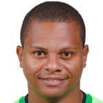 Luiz Henrique  da Silva Alves