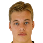 J. van der Wilt