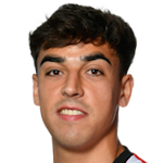 Ander Izagirre Cestona