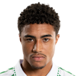 João Gabriel Fersura Feu