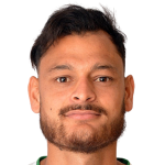 Haibrany Nick Ruiz Díaz Minervino