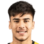 Brian Nicolás Mansilla Islas