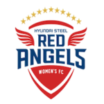 Incheon Hyundai Steel Red Angels WFC