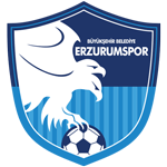 Erzurum Büyükşehir Belediyespor