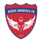 Niğde Anadolu FK AŞ