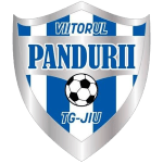 ACS Viitorul Pandurii Târgu Jiu