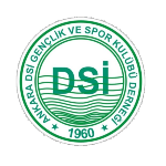 Ankara DSİ Spor Kulübü