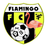 Flamingo FC
