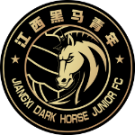 Jiangxi Dark Horse Junior FC