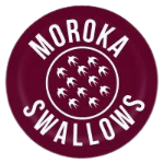Swallows