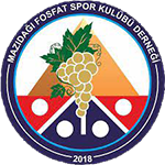 Mazıdağı Fosfatspor