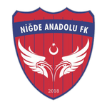 Niğde Anadolu FK