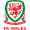 Wales U19