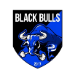 Black Bulls Maputo