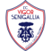 Vigor Senigallia