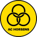 Horsens U19