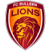 Bulleen Lions