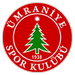 Yunus Emre Mertoğlu