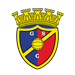 Ricardo Benjamim Costa Silva