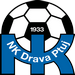 Amir Kahrimanovic