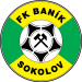 Ban\u00edk Sokolov