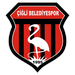 Mevlüt Berkay Çidem