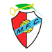 Hugo José Braga Balão