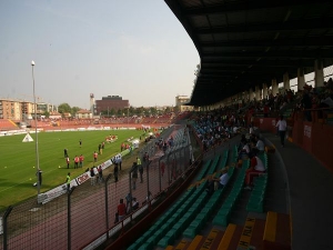 Stadio Danilo Martelli, Mantova