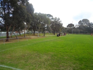 Well Money Park Campbell Reserve Pitch 1