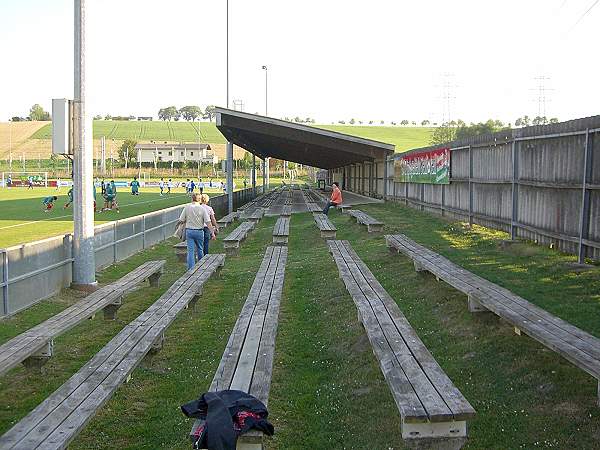 Fröling-Stadion, Grieskirchen