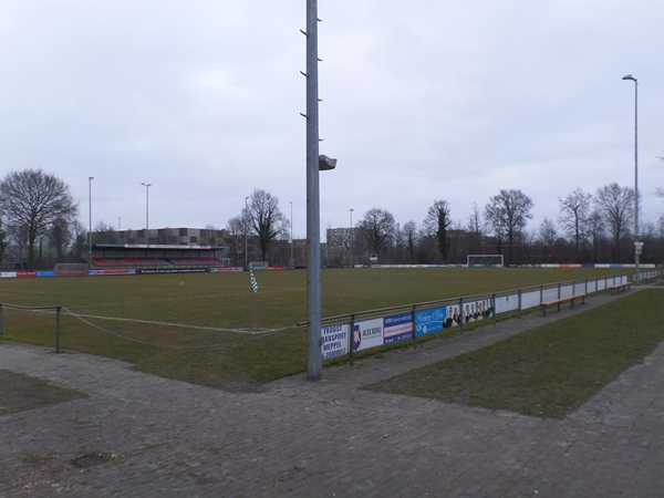 Sportpark Ezinge (FC Meppel), Meppel