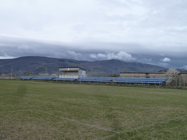 Kartlis Stadioni, Gori