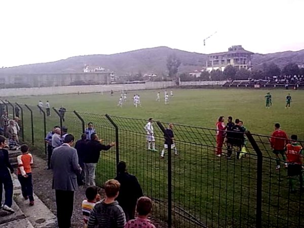 Stadiumi Hasan Zyla, Rrogozhinë